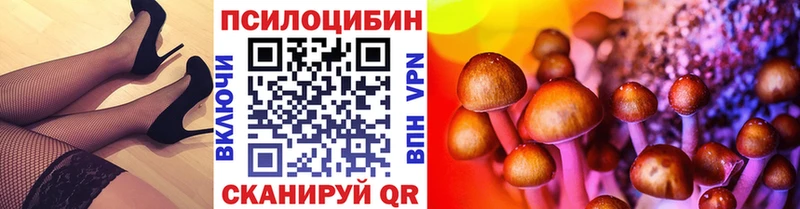 закладка  Калининград  Галлюциногенные грибы мухоморы 