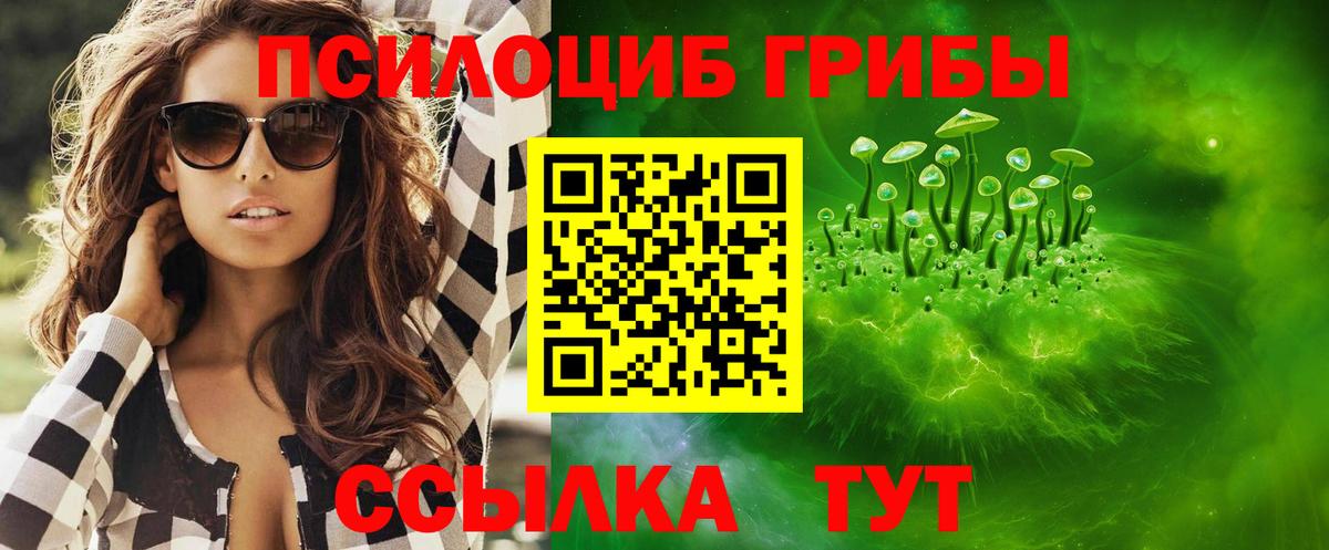 Калининград  Псилоцибиновые грибы MAGIC MUSHROOMS  Вход с VPN 