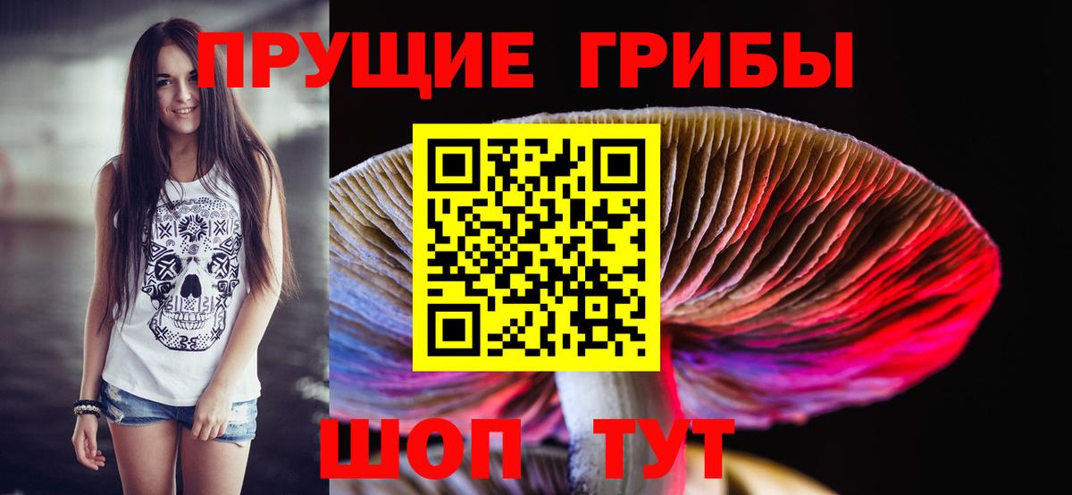 Псилоцибиновые грибы Psilocybine cubensis Калининград